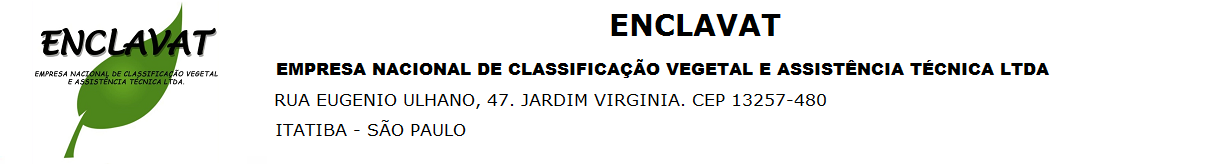 CLASSIFICAÇÃO